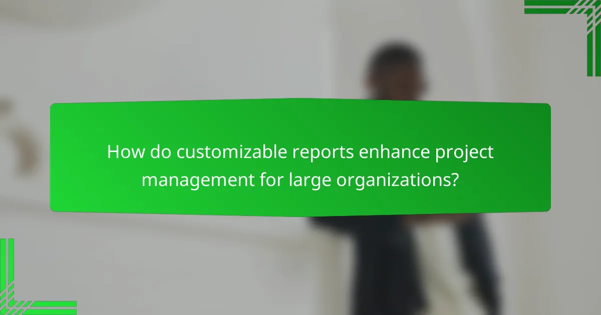 How do customizable reports enhance project management for large organizations?